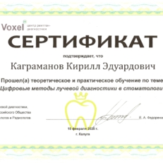 Сертификат Каграманов Кирилл Эдуардович